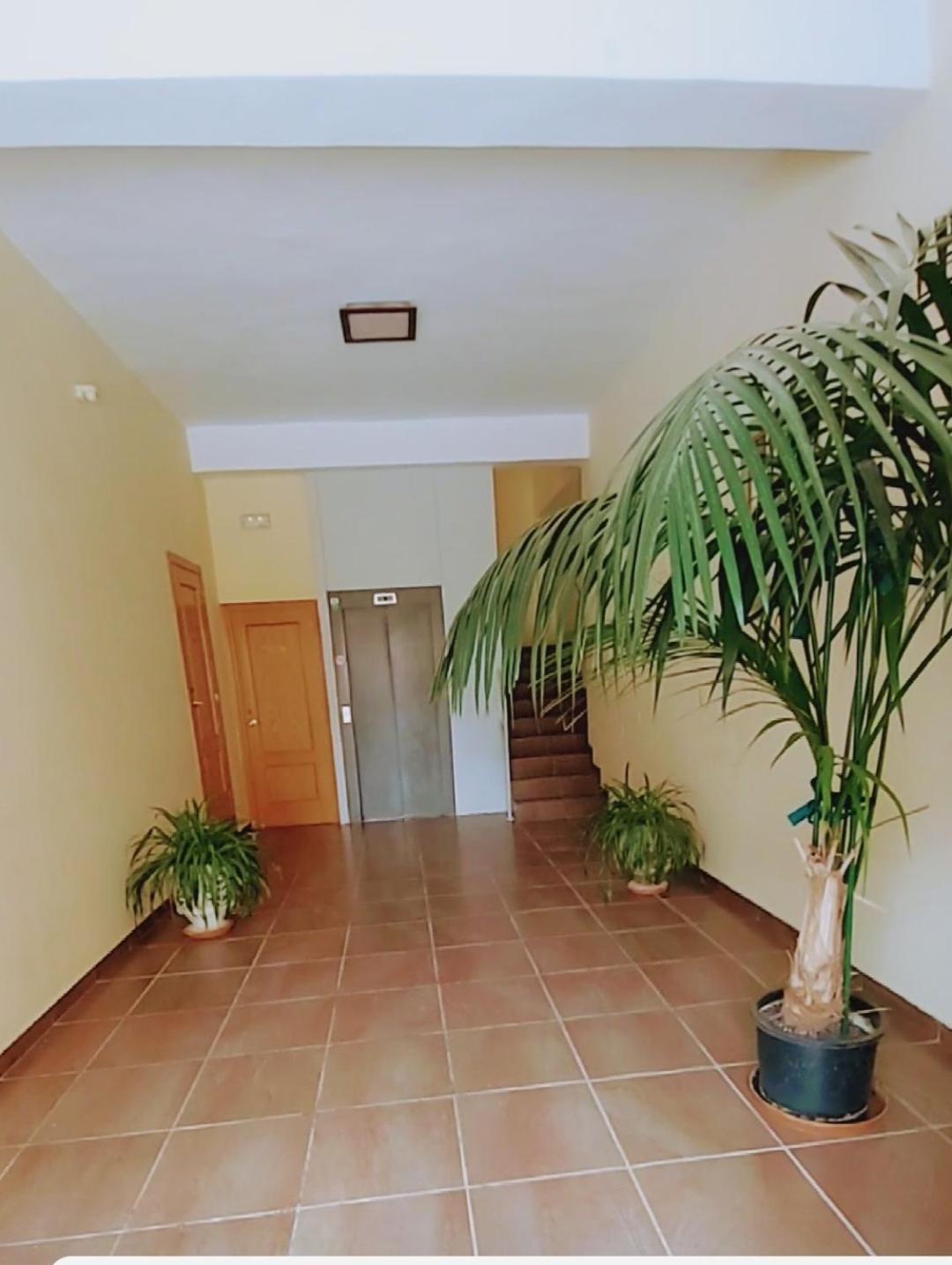 Apartamento Con Vistas A La Montana Oasis 圣比森特德拉松谢拉 外观 照片